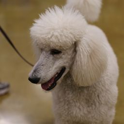 photograph by PeterW